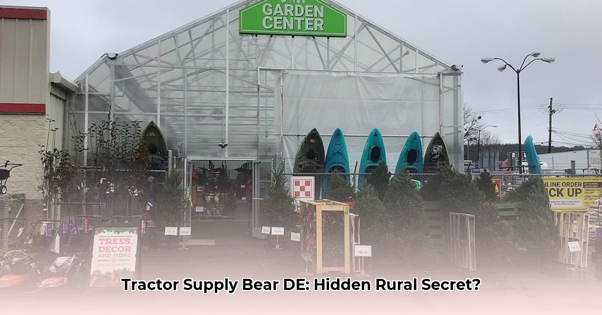 tractor-supply-bear-de